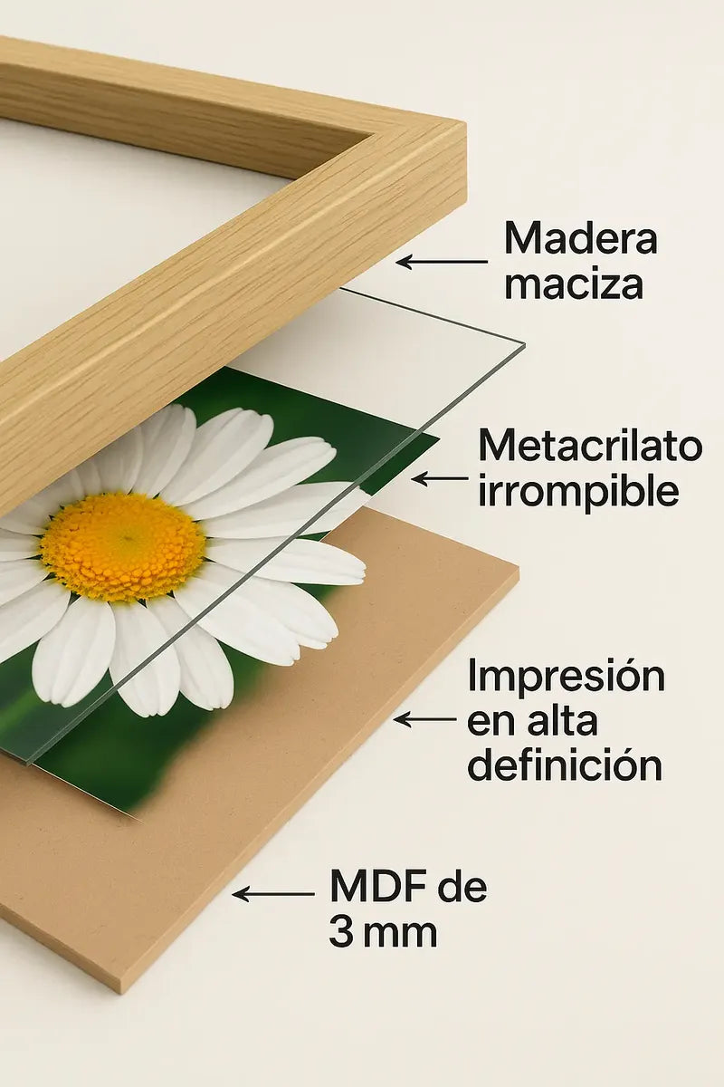 Cuadros Personalizados con Impresión