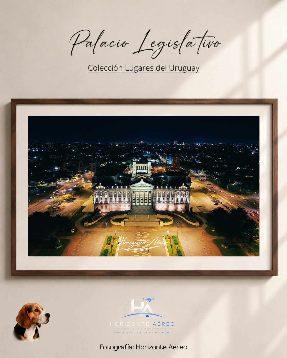 Palacio Legislativo - UruPosters x Horizonte Aéreo